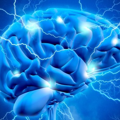 cerebro que es neuropsicologia